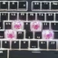 Btsg Nhựa Bàn Phím Cơ Keycap Lá Hoa Khô Mờ Keycap