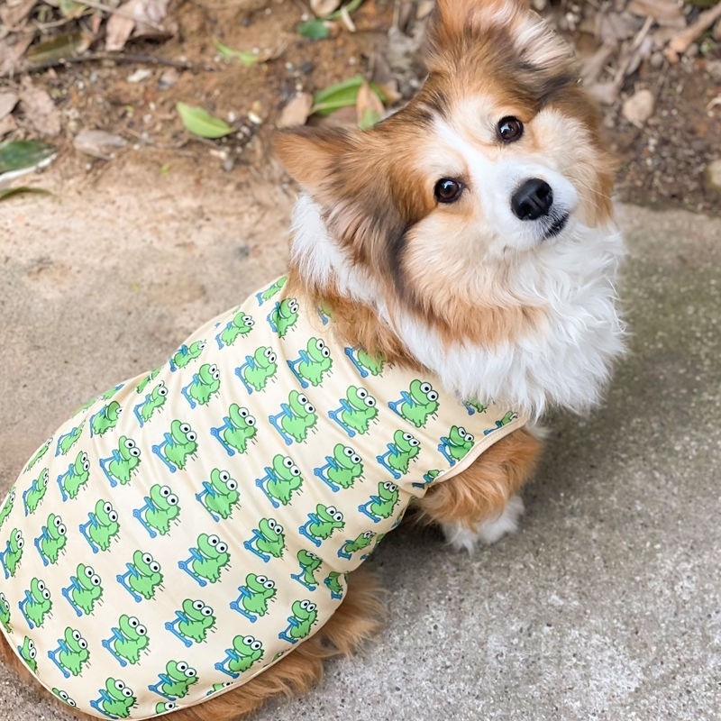 Quần Áo Bichon Teddy Mỏng Phong Cách Khủng Long Thoáng Khí Mùa Hè Phong Cách Mới Chó Corgi Pháp Chiến Đấu Shiba Inu Vest TWFD * - & -