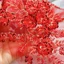 Miếng vá thêu sequin CheeseLy - Thêu ren và cườm cho DIY và trang trí váy cưới