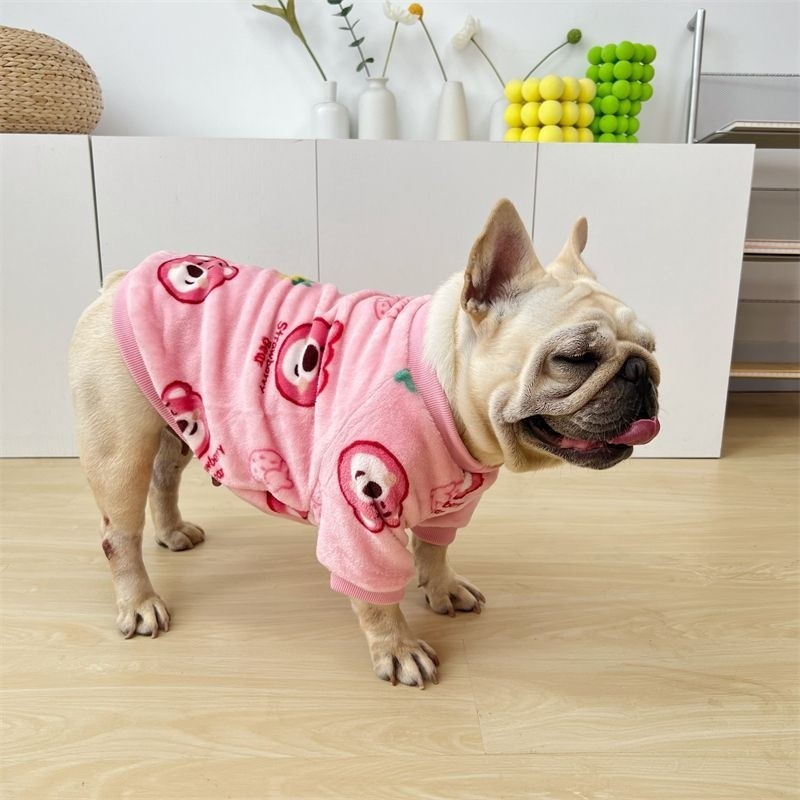 Chó cỡ vừa Influencer Quần áo mùa thu đông Quần áo cho chó NMIB
