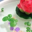 Cây nổi hàng đầu có rễ để bảo trì trang trí bề mặt nước bể cá
