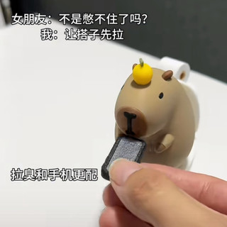 Kapibara Toilet Dolphin Đồ trang trí từ tính Đồ trang trí sáng tạo với bộ sưu tập sinh viên cá cảm ứng lương