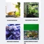 Top Turtles Tanks Heater Chống ăn mòn Bộ điều khiển nhiệt độ tự động Thiết bị sưởi ấm cho mực nước thấp Fishtan