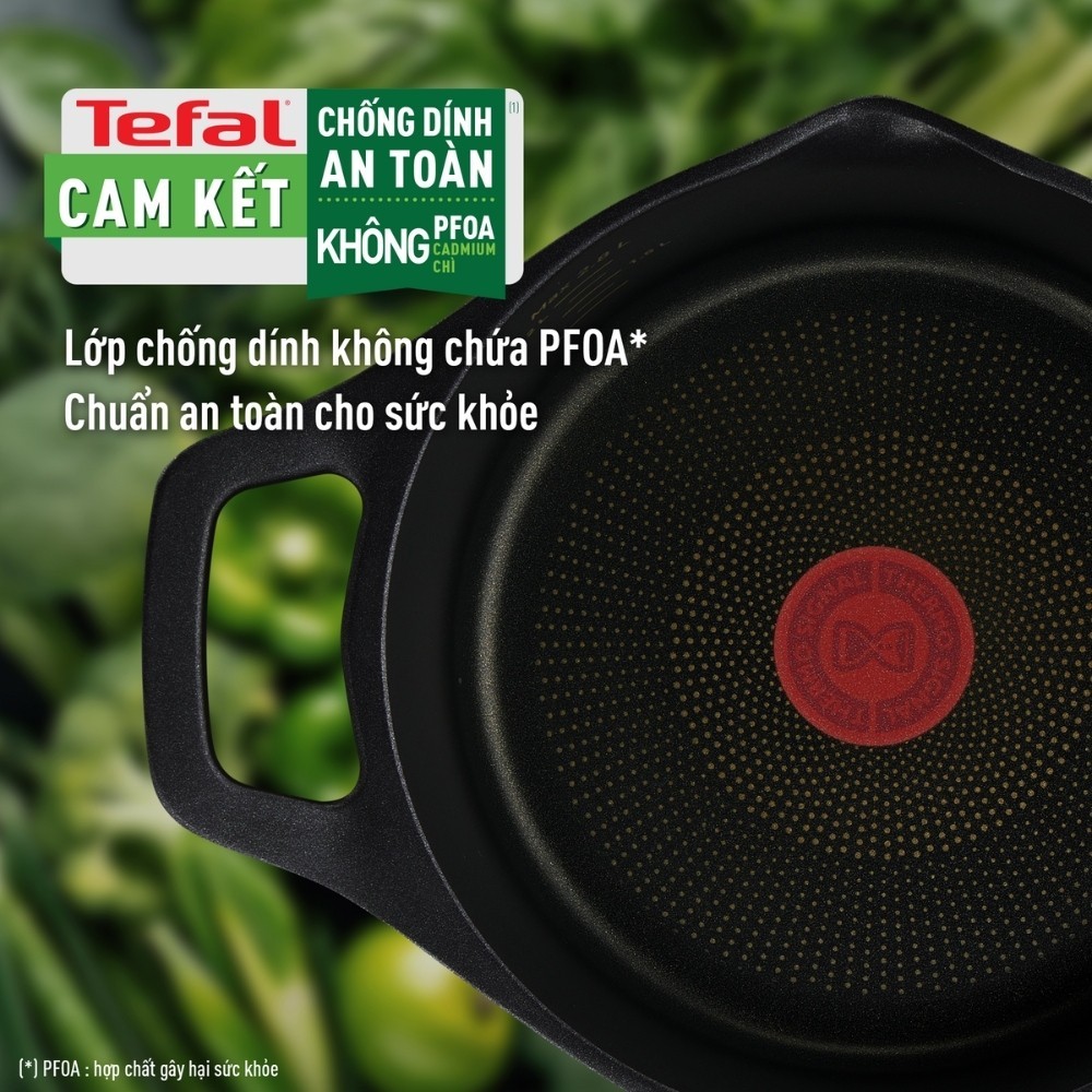 Nồi đúc cao cấp Tefal Robusto 20cm (E2494444)/ 24cm (E2494644) - Bảo hành chính hãng 24 tháng