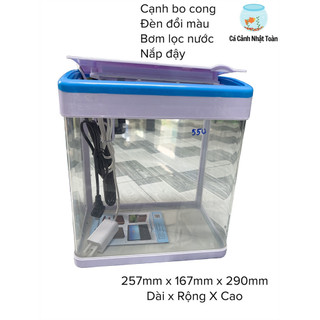 Hồ Đúc Mica Cạnh Bo Cong, Có Nắp Đậy, Bơm Lọc Và Đèn Cảm Ứng MJ260