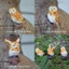 PWSEND Mini Owl Bức Tượng, Thủ Công Vườn Cổ Tích Thu Nhỏ Động Vật, Quà Tặng Nhà Sân Vườn Nhựa Để Bàn Trang Trí Điêu Khắc Mini Trang Trí