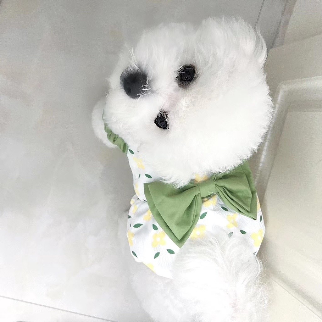 Quần áo cho chó phong cách mới, Váy hoa mèo dễ thương, Thích hợp cho Teddy / Bichon / Yorkshire và những chú chó nhỏ khác