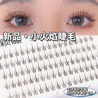 Năm Hàng Thân Trong Suốt Lông Mi Ngọn Lửa Nhỏ Cụm Lông Mi Giả