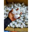 Bóng Đèn Led Tròn Kín Nước 3w - 5w - 7w - 9w Hàng Loại 1-TOOLIX