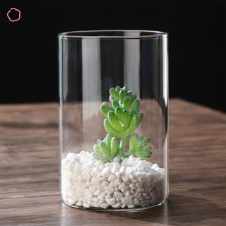 Bình hoa thủy tinh trong suốt phong cách tối giản, trang trí phòng khách, quà tặng đám cưới