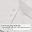 Áo sơ mi trắng nam Phan Nguyễn, chất liệu bamboo mềm mát, hút ẩm tốt, an toàn form slim fit SMD.1550