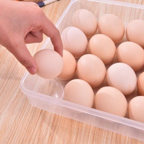 Hộp đựng trứng gà vịt tiện dụng AMIZIN Hộp đựng trứng 24 quả trong tủ lạnh bảo quản lâu Babee
