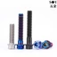 TC4 Chất liệu hợp kim titan Ốc vít lạ mắt bên trong Torx Mặt bích lục giác bên ngoài Đốt cháy Vít titan Xe điện Calipers Sửa đổi hấp thụ sốc