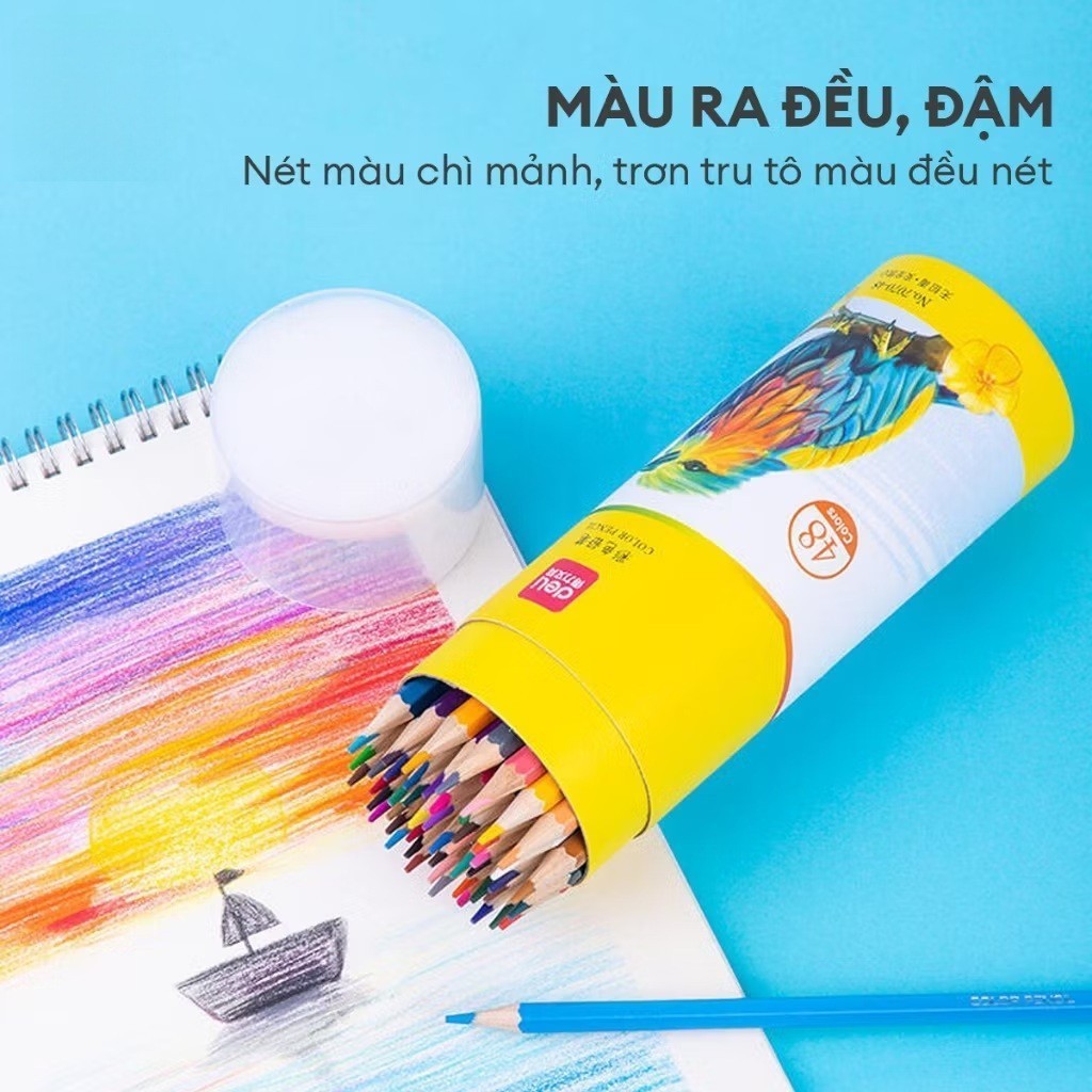 Bút Chì Màu Gốc Dầu Deli Dạng Cốc 12/24/36/48 Màu - Bút Chì Gỗ Khô Tự Nhiên An Toàn