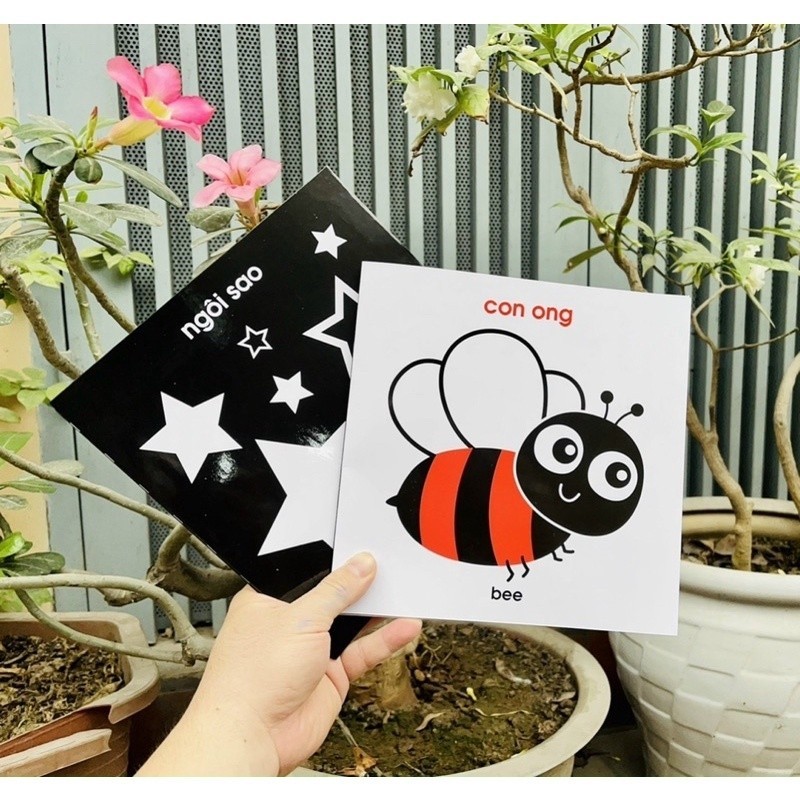 Ảnh Flash Card Kích Thích Thị Giác - Zic Zắc (4 Tấm) 2