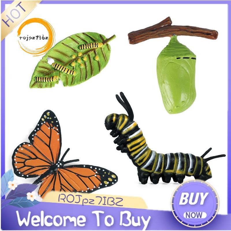 Mô Phỏng Vòng Đời Hình Tượng Của Vua Bướm Chu Kỳ Tăng Trưởng Côn Trùng Động Vật Giáo Dục Sinh Học Đồ Chơi Khoa Học