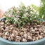 PWSEND 20 Chiếc Đầu Xương Nhỏ, Đạo Cụ Trang Trí Lọ Hoa Trang Trí Đầu Lâu Mini, Sáng Tạo Thực Tế Nhựa Phong Cảnh Đầu Lâu Đá Halloween