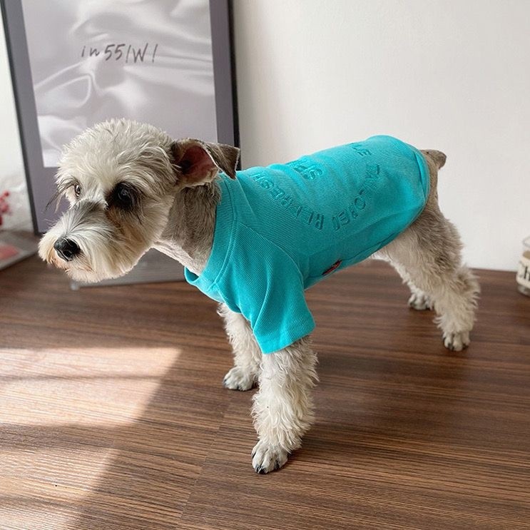 Quần áo thú cưng mỏng mùa xuân thu, Thích hợp cho Yorkshire, Bichon, Teddy và Schnauzer, Thiết kế thêu màu kẹo, Thích hợp cho mèo
