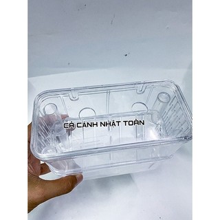 Lồng ấp dưỡng cá đẻ cho cá 7 màu guppy bằng meca (2 ngăn)
