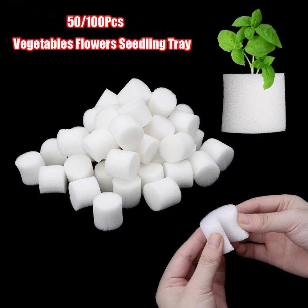 PWSSEND 50 / 100 Chiếc Miếng Bọt Biển Mầm Non, Miếng Bọt Biển Trồng Tròn Thủy Canh, Dụng Cụ Làm Vườn Bọt Biển Hạt Giống Thủy Canh Không Đất
