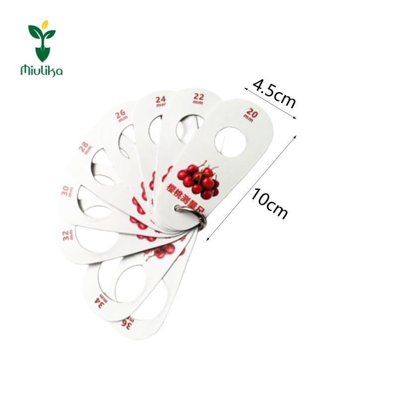 Thước đo trái cây, Dụng cụ đo đường kính trái cây di động, việt quất