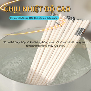 Bộ 5 Đôi Đũa Kháng Khuẩn Đầu Đũa Trơn Bunnies Đũa Sợi Thủy Tinh Ăn Cơm Cao Cấp Kiểu Dáng Hiện Đại