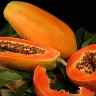 Hạt Giống Đu Đủ Ruột Đỏ Siêu Dài