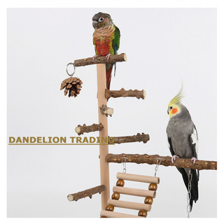 [DANDELION] Giá đỡ chim Vẹt Leo Lưới Khung leo Vẹt Giá đỡ huấn luyện Vẹt Cloud Thang xích đu Đồ chơi chim Cầu treo