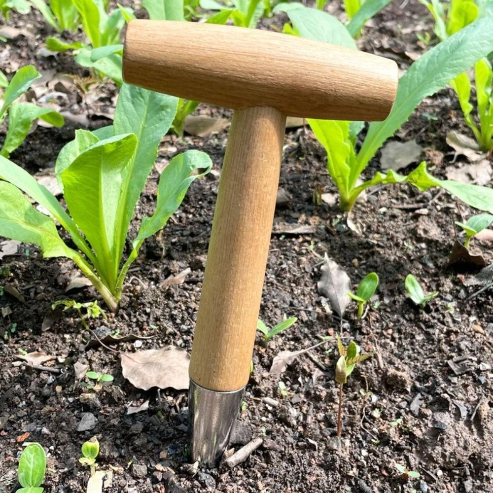 PWSSEND Hand Sow Dibbler, Tay cầm T-Wood Hạt giống gieo Công cụ đục lỗ trong vườn, Bóng đèn cấy ghép Dụng cụ trồng cây đào Dụng cụ phân phối làm vườn