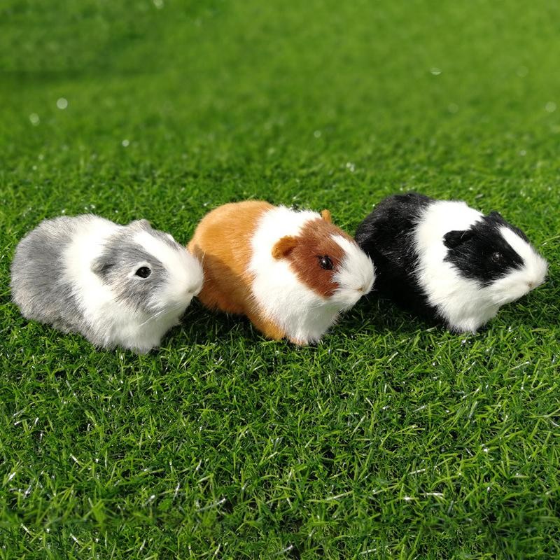 Tmoy Búp Bê Hamster Nhồi Bông Sang Trọng, Mô Phỏng Lông Chuột Lang, Quà Tặng Sinh Nhật Cho Bé