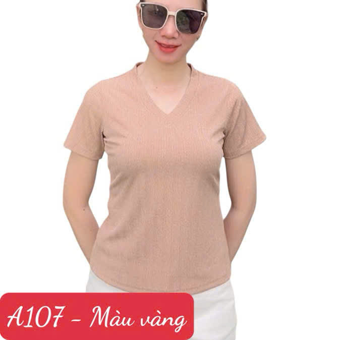 A107 Áo thun Nữ Cổ Tim - Vải Thun tăm siêu