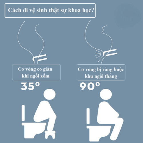 Ghế Kê Chân Toilet Thông Minh DinoHome Thiết Kế Chữ U Chống Trượt Nhựa PP Cao Cấp Chống Táo Bón