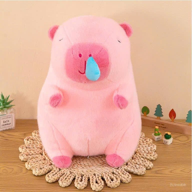 Capybara Nhỏ Capybara Giá Rẻ Hàng Cao Cấp Gấu Capybara Mini Đáng Yêu Kích Thước 20 Đến 35Cm