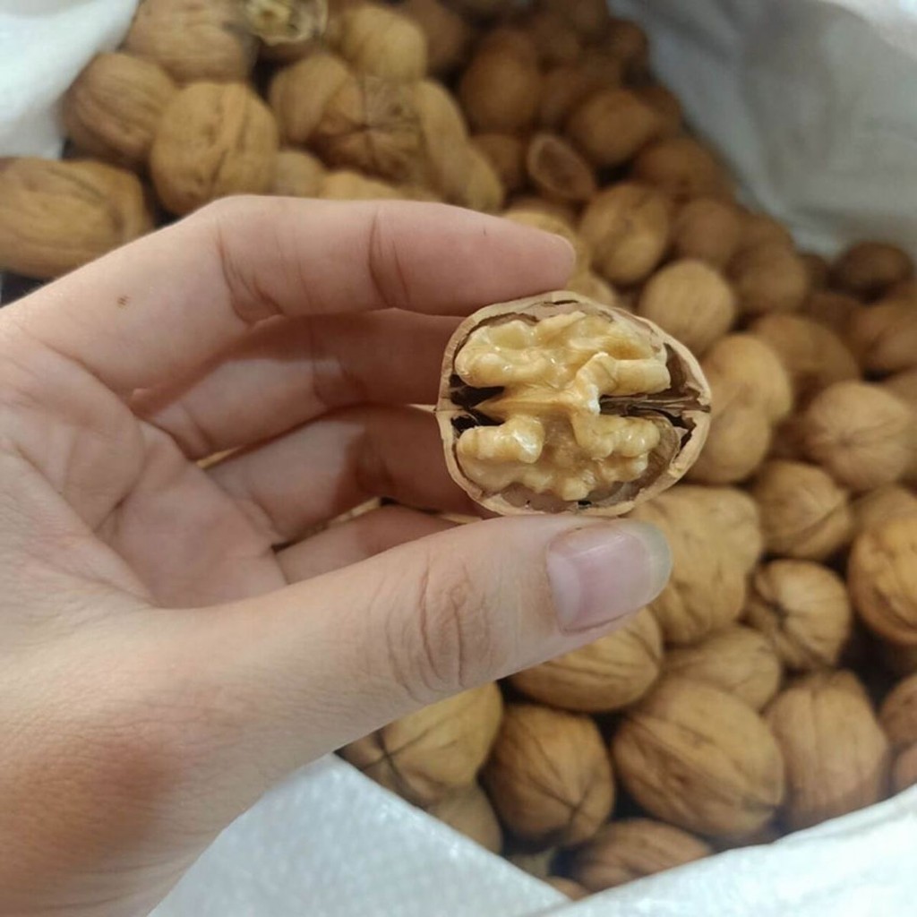Quả Óc Chó Mỹ Vàng Nhiều Dinh Dưỡng Dễ Ăn - Xưởng Hạt Dinh Dưỡng Bảo Tâm