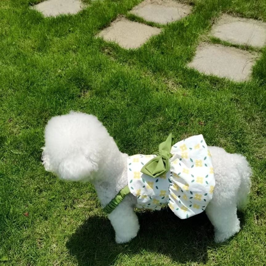 Quần áo cho chó phong cách mới, Váy hoa mèo dễ thương, Thích hợp cho Teddy / Bichon / Yorkshire và những chú chó nhỏ khác