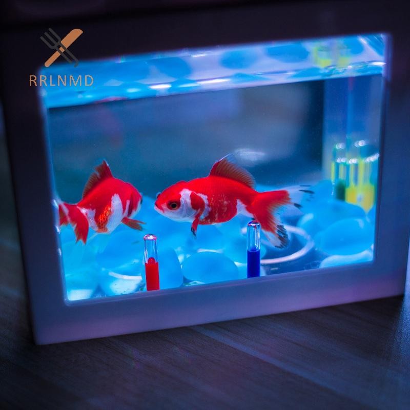 Rrlnmd 2023 Mini Bể Cá Cá Đèn Điều Khiển Màu Tròn AquariumMini Cá Ánh Sáng Trang Trí Nhà Cửa Bể Cá Accessorie MỚI