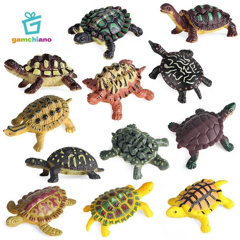 Gamchiano 12 / Bộ Mô Phỏng Động Vật Rùa Series Mô Hình Nhân Vật Biển Rùa Tượng Playset Lớp Học Dự Tiệc Cung Cấp Máy Tính Để Bàn Trang Trí