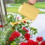 Bình tưới nước PWSEND, có đầu phun có thể tháo rời Ấm đun nước tưới cây bằng nhựa, Máy phun tưới nước miệng dài đa năng 2L Dụng cụ làm vườn