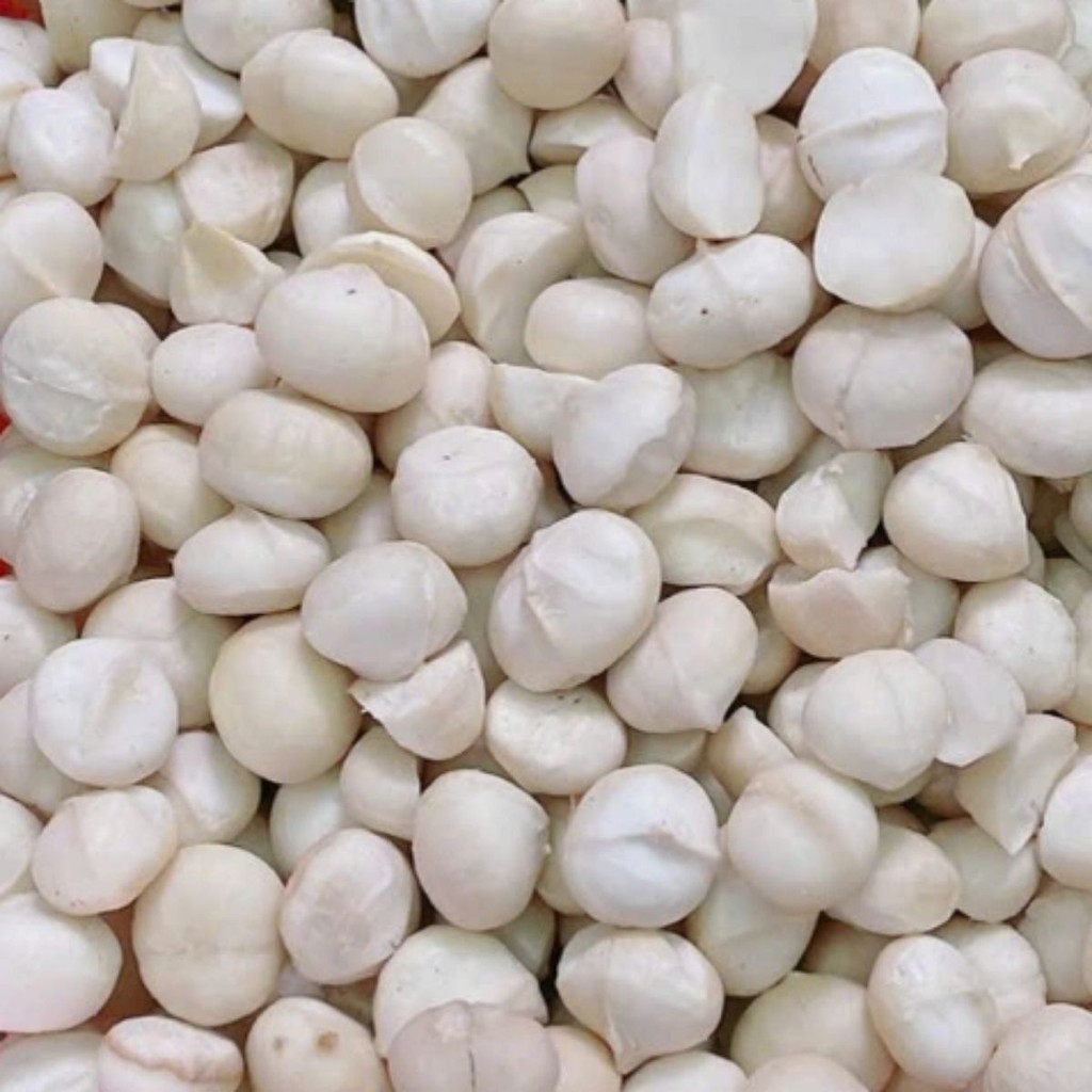 500G Nhân Hạt Macca Sấy Thơm Ngon Béo Ngậy Nhiều Dinh Dưỡng, Làm Sữa Hay Ăn Liền Đều Ngon - Xưởng Hạt Dinh Dưỡng Bảo Tâm