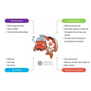 Anti Stress giải độc khẩn cấp cho cá Cá Khỏe Cá Sung (20ml)