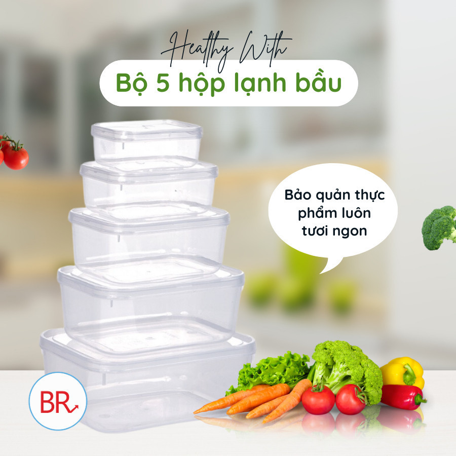 Bộ 5 hộp lạnh bầu đựng thức ăn Việt Nhật, Hộp trữ đồ đông đồ ăn dặm cho bé (MS:6685) an toàn tiện lợi - br 01285