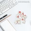 10 Chiếc Nhựa Cho Cherry Red 3 Pin MX RGB Cơ Công Tắc Bàn Phím Thay Thế