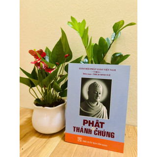 Sách - Phật và Thánh Chúng (bìa mềm)
