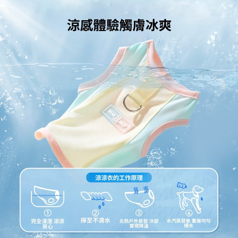 [Pet-Eleven] Áo Vest Quần Áo Thú Cưng Lưới Thoáng Khí Chống Trơn Đi Chơi Lực Kéo Nhẹ Chống Nắng Chống Tia Cực tím Quần Áo Mỏng Quần Áo Chó Mèo Teddy / Bichon / Schnauzer Chó Nhỏ Vừa