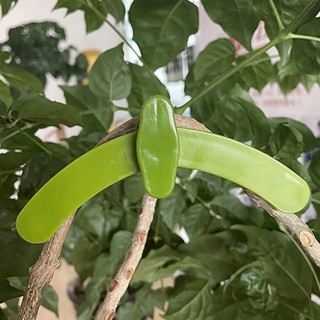 【COD】Dụng Cụ Uốn Cành Cây Bonsai Có Điều Chỉnh Góc, Dễ Dùng, Không Làm Gãy Cây, Có Thể Tái Sử Dụng