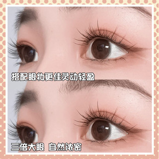Lông mi giả tự nhiên hướng dương 10 hàng