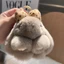 Móc khóa búp bê thỏ lông xù CHEESELY, Búp bê nhồi bông sang trọng Pompoms Bow Rabbit Mặt dây chuyền, Phim hoạt hình thời trang treo túi trang trí Phụ kiện túi mặt dây chuyền