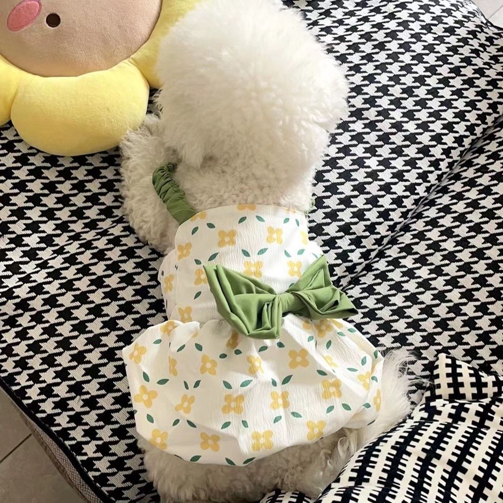Quần áo cho chó phong cách mới, Váy hoa mèo dễ thương, Thích hợp cho Teddy / Bichon / Yorkshire và những chú chó nhỏ khác