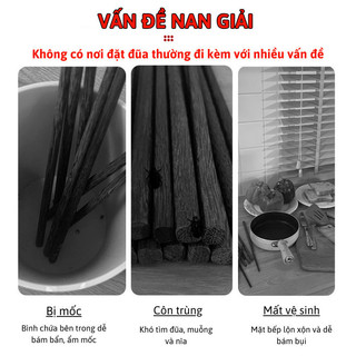 Hộp Đựng Đũa Muỗng Treo Tường Bằng Nhựa Myd.23, Nắp Đậy Chống Bụi Ngăn Côn Trùng, Bảo Quản An Toàn
