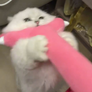 Đồ chơi cho chó mèo, Tương tác vui nhộn sang trọng tấn công Stick Catcher, Cat Teaser, Đồ chơi cho mèo Chiikawa, Cây đũa phép mèo sang trọng